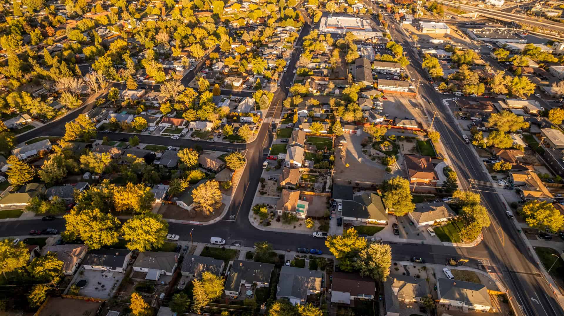 An aerial view of tree lined neighborhood streets at golden hour